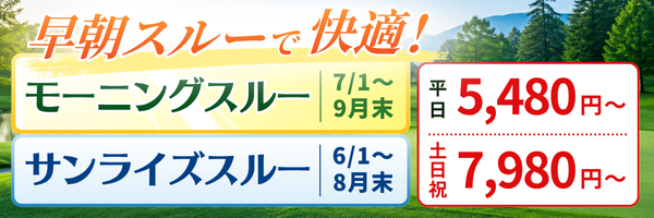 9e3b55